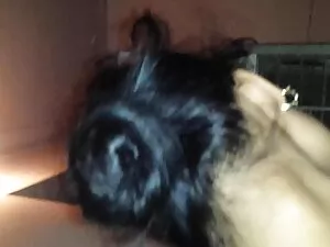 Một đứa trẻ quan tâm ...